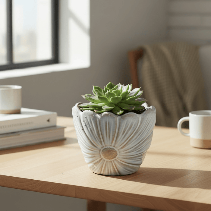 White Daisy Flower Vase 10cm - Cherish Home