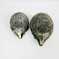 Decorative Silver Style Hedgehogs ornaments top view