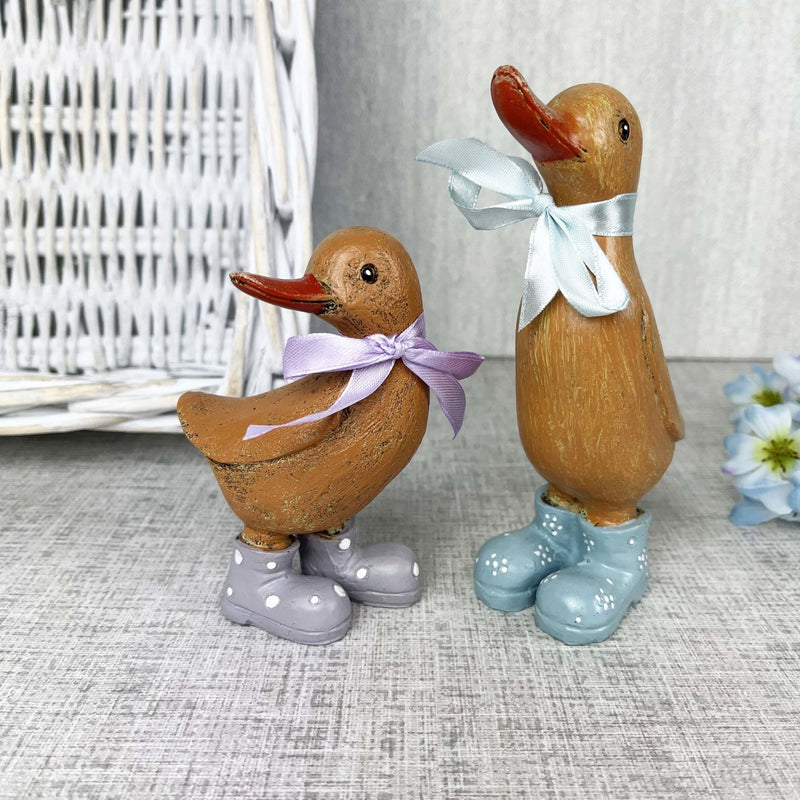 Dina & Danny Duck with white basked and blue flowers 