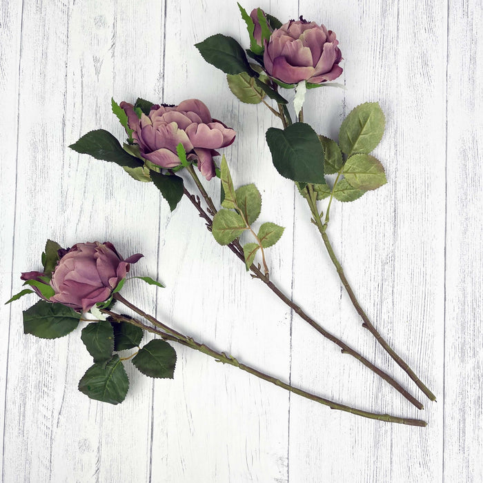 Dusty Pink Spray Rose Peony, 3 roses on white background.