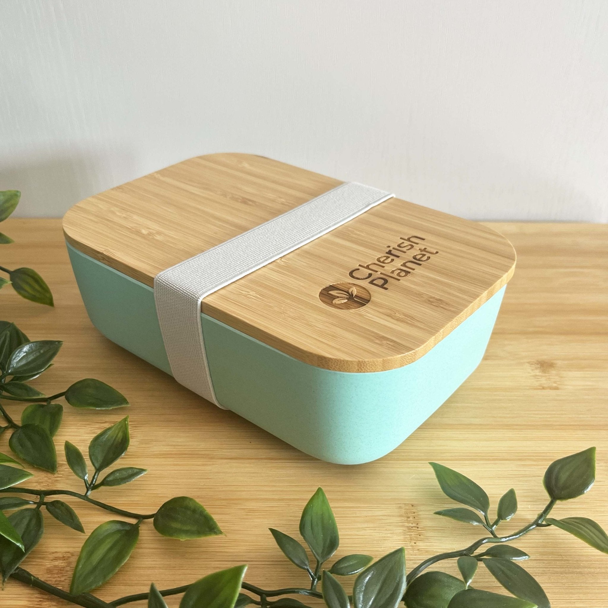 Eco Bamboo Wheat Fibre Lunch Bento Box Cherish Home
