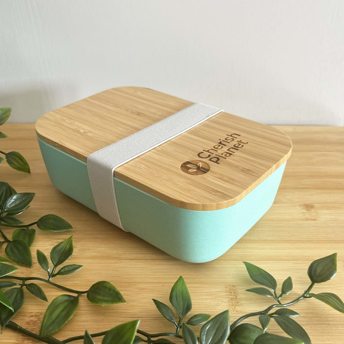 Green Eco Bamboo & Wheat Fibre Lunch / Bento Box on white background, with bamboo bench and greenery
