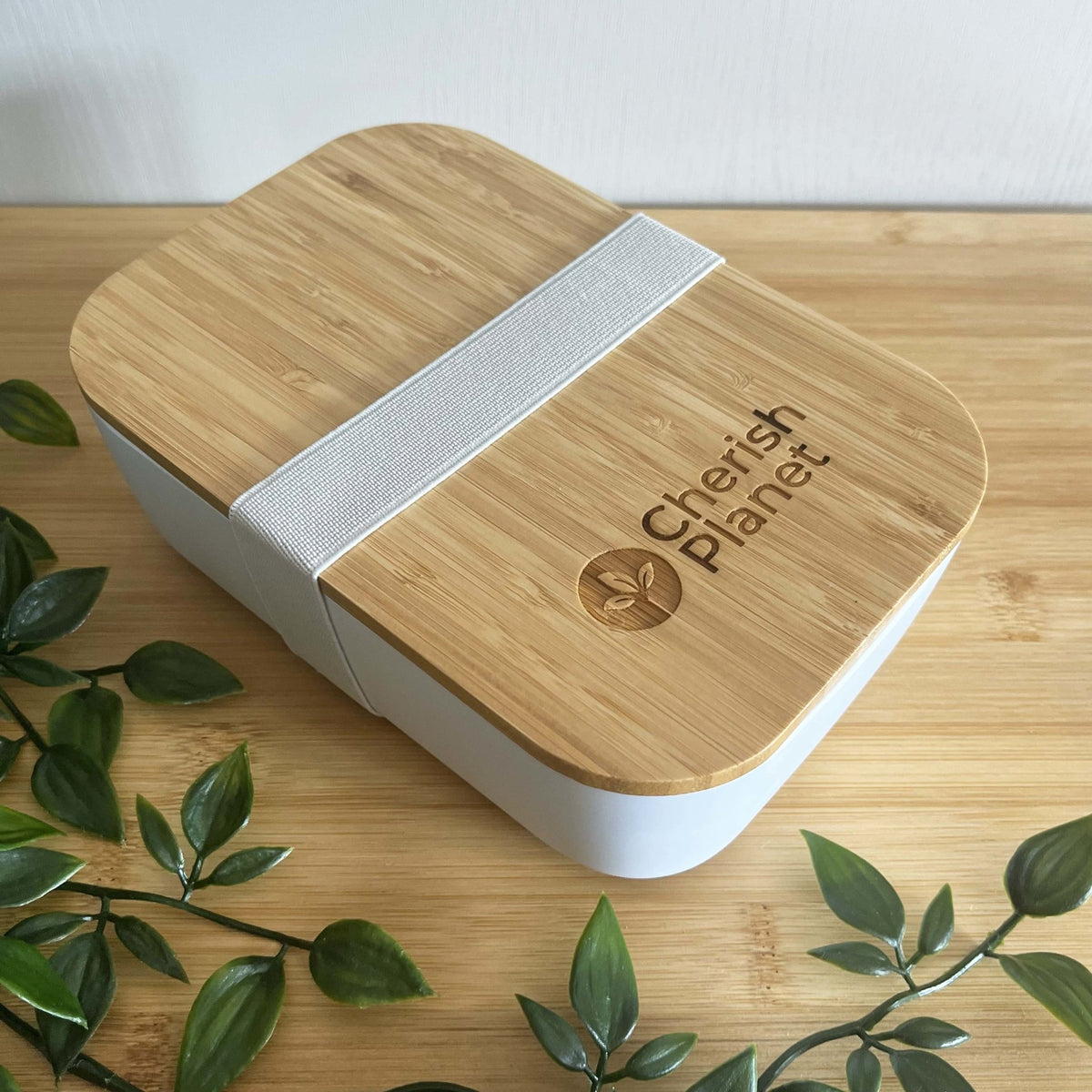 Eco Bamboo & Wheat Fibre Lunch / Bento Box