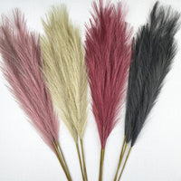 Grey, Scarlet, bleached and lilac Faux Pampas Grass Stems on white background.