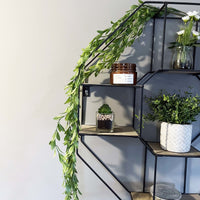 Hanging Vine Spray trailing around hexagonal shelving unit, with planters and candles on