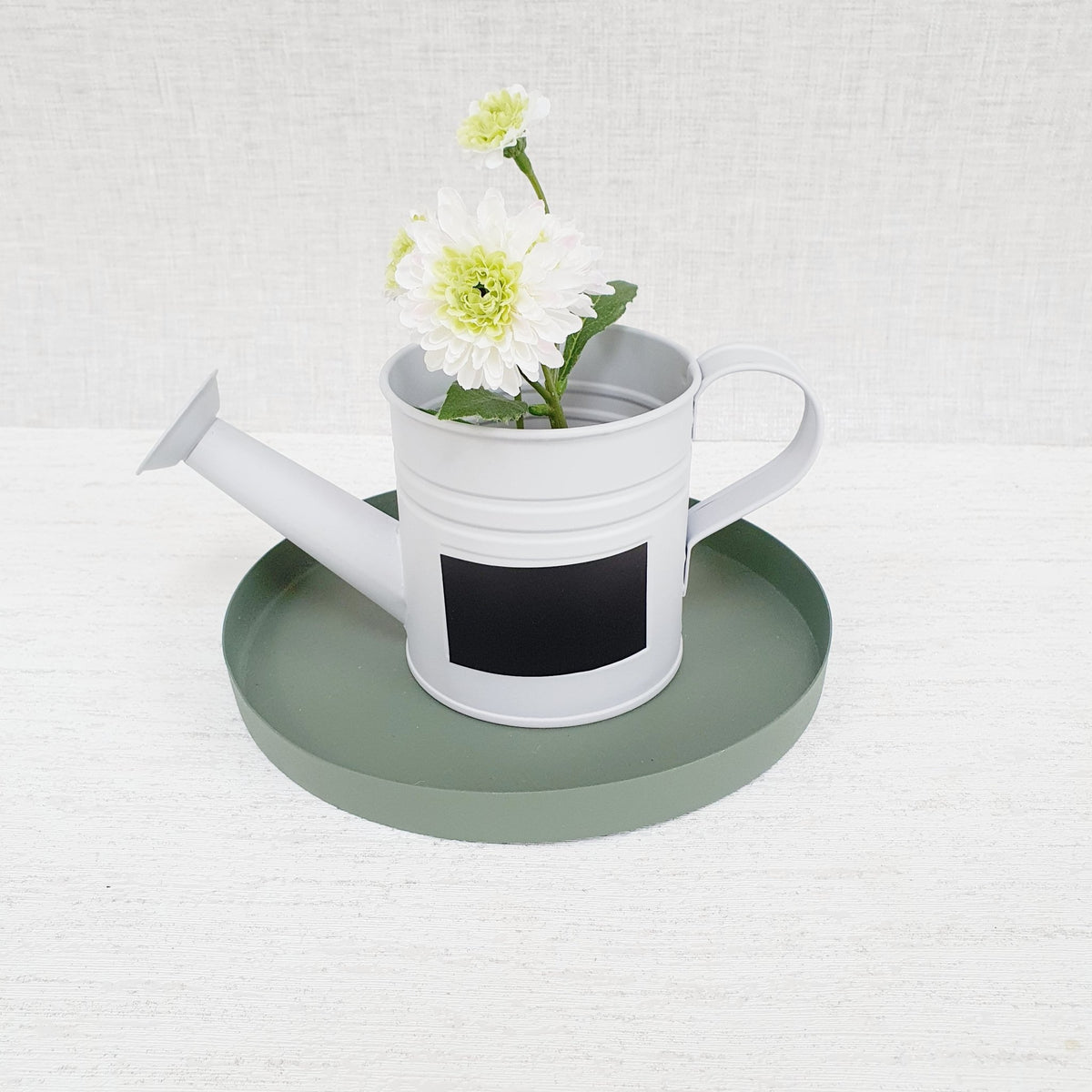 Mini Watering Can Planter on green decorative tray