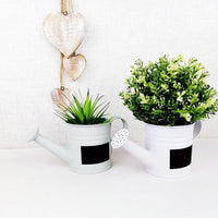 Mini Watering Can Planters with wooden heart decor
