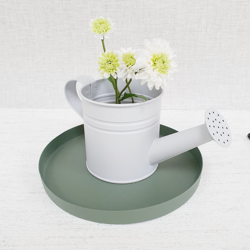 Mini Watering Can Planter on green decorative tray
