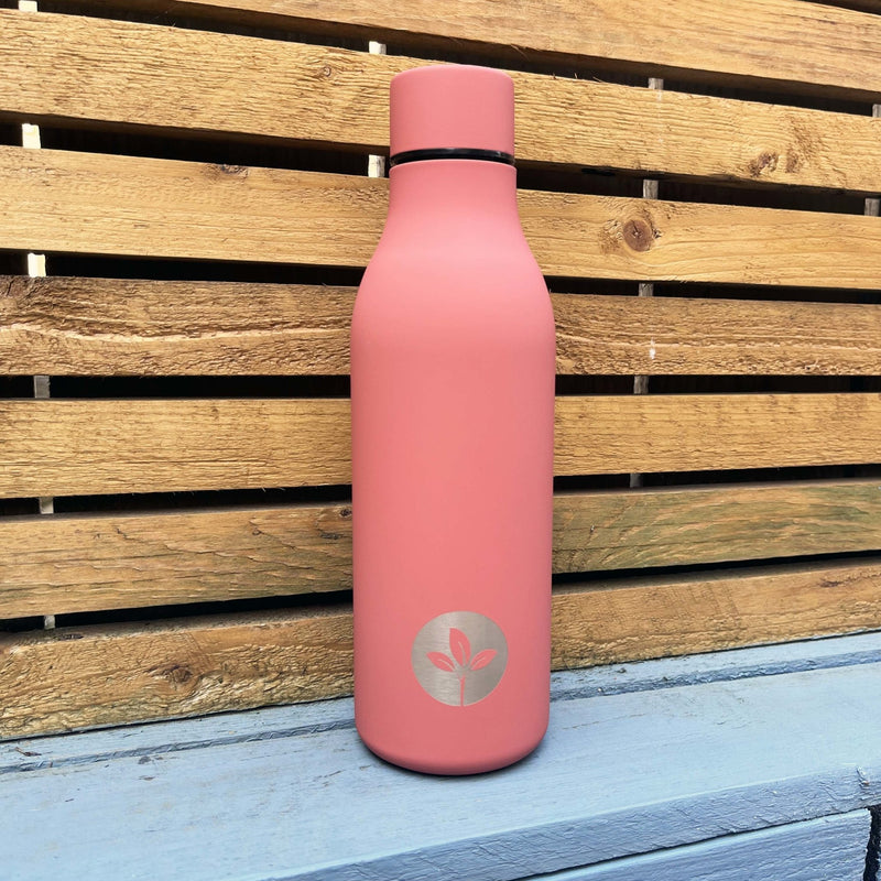 Cherish Planet Soft-touch Stainless Steel Water Bottle (550ml)