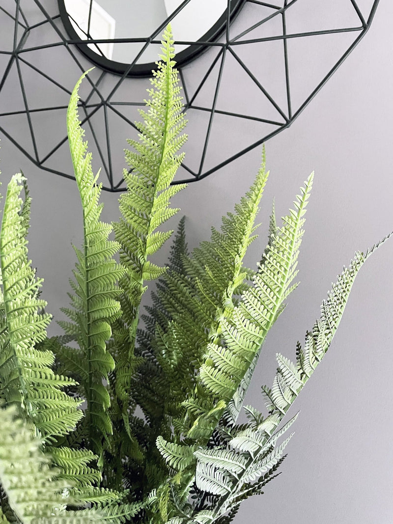 Stone Potted Boston Fern Leaves