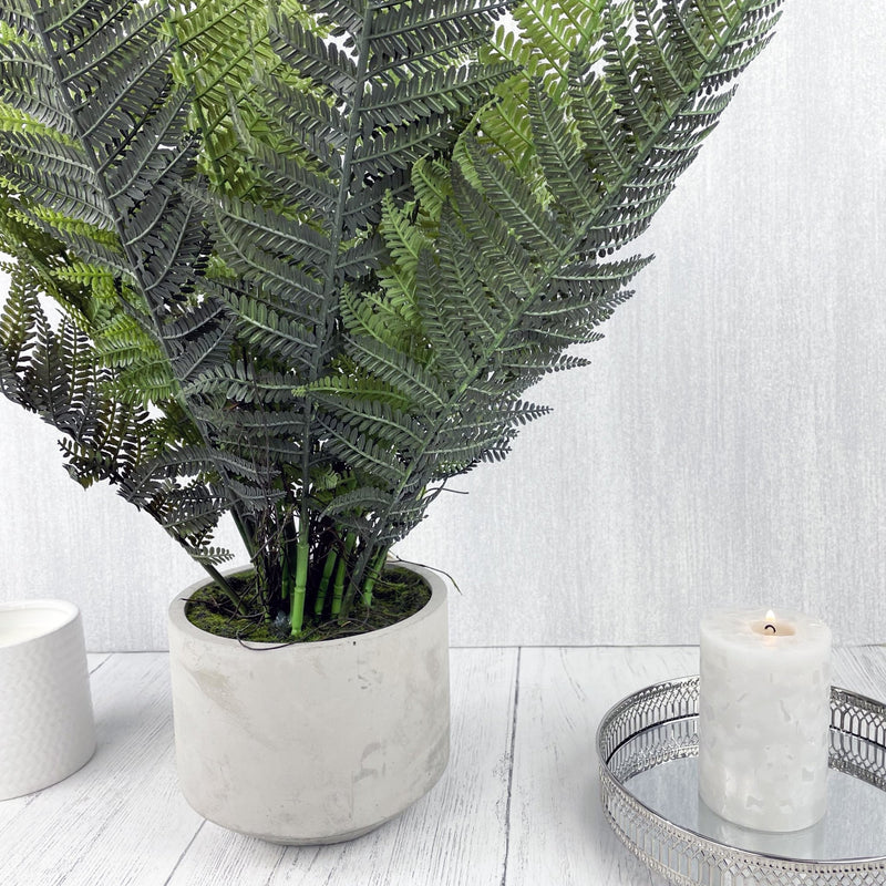Stone Potted Boston Fern with Candle