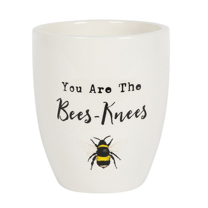 "The Bees Knees" Ceramic Plant Pot - Cherish Home
